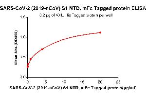ELISA plate pre-coated by 2 μg/mL (100 μL/well) Human AXL, His tagged protein (ABIN6961128) can bind SARS-CoV-2 (2019-nCoV) S1 protein NTD, mFc Tagged protein(ABIN6961172) in a linear range of 0. (SARS-CoV-2 Spike S1 Protein (N-Term) (mFc Tag))