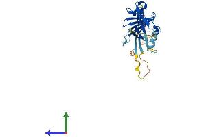Protein Structure (PS) image for Integral Membrane Protein 2B (ITM2B) (AA 1-266) protein (His tag) (ABIN7548670)