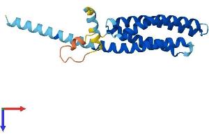 TMEM17 Protein (AA 1-198) (His tag)