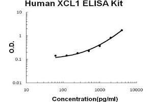 Human XCL1/Lymphotactin PicoKine ELISA Kit standard curve