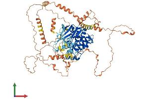 AlphaFold protein structure predicition of Mouse Recombinant Mapk6 Protein, UniprotID Q61532