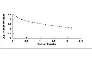 Typical standard curve (Neuropeptide FF ELISA Kit)