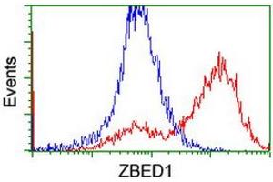 HEK293T cells transfected with either RC202011 overexpress plasmid (Red) or empty vector control plasmid (Blue) were immunostained by anti-ZBED1 antibody (ABIN2455922), and then analyzed by flow cytometry. (ZBED1 antibody)