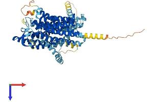 AlphaFold protein structure predicition of Human Recombinant SLC15A4 Protein, UniprotID Q8N697 (SLC15A4 Protein (AA 1-577) (His tag))