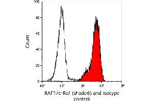 Flow Cytometry (FACS) image for anti-V-Raf-1 Murine Leukemia Viral Oncogene Homolog 1 (RAF1) (AA 300-350) antibody (ABIN7795692) (Recombinant RAF1 antibody  (AA 300-350))