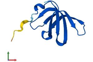 AlphaFold protein structure predicition of Mouse Recombinant Snrpg Protein, UniprotID P62309 (SNRPG Protein (AA 1-76) (Fc Tag))