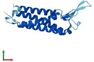 AlphaFold protein structure predicition of Human Recombinant EMP3 Protein, UniprotID P54852 (EMP3 Protein (AA 1-163) (His tag))