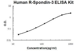 Human R-Spondin-3 PicoKine ELISA Kit standard curve (R-Spondin 3 ELISA Kit)