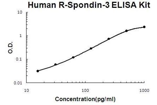 R-Spondin 3 ELISA 试剂盒