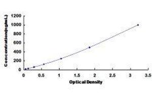 Typical standard curve (Haptoglobin ELISA Kit)