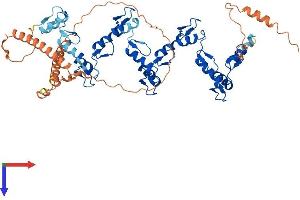 AlphaFold protein structure predicition of Human Recombinant ZNF852 Protein, UniprotID Q6ZMS4