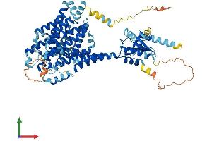 Protein Structure (PS) image for Solute Carrier Family 26 (Sulfate Transporter), Member 1 (SLC26A1) (AA 1-704) protein (His tag) (ABIN7556525)