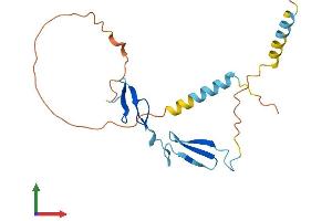 AlphaFold protein structure predicition of Human Recombinant CRIPTO3 Protein, UniprotID P51864 (Cripto-3 Protein (AA 1-188) (His tag))
