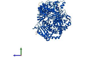 Protein Structure (PS) image for Insulin-Degrading Enzyme (IDE) (AA 1-1019) protein (His tag) (ABIN7565078)