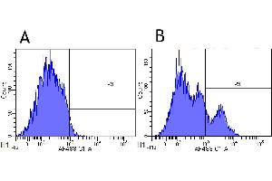 Flow-cytometry using anti-CD22 antibody Epratuzumab   Cynomolgus monkey lymphocytes were stained with an isotype control (panel A) or the rabbit-chimeric version of Epratuzumab ( panel B) at a concentration of 1 µg/ml for 30 mins at RT.