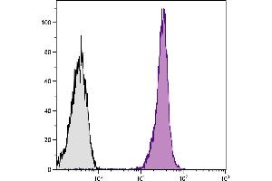 BALB/c mouse splenocytes were stained with Mouse Anti-Mouse CD45. (CD45.2 antibody)