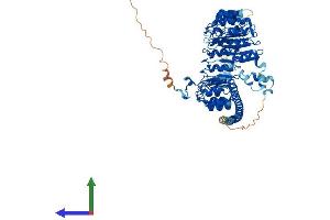AlphaFold protein structure predicition of Human Recombinant FBXL13 Protein, UniprotID Q8NEE6 (FBXL13 Protein (AA 1-735) (His tag))