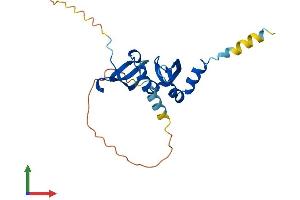 AlphaFold protein structure predicition of Mouse Recombinant Cbx5 Protein, UniprotID Q61686