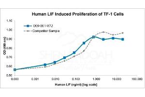 SDS-PAGE of Human Leukemia Inhibitory Factor Recombinant Protein Bioactivity of Human Leukemia Inhibitory Factor Recombinant Protein. (LIF Protein)