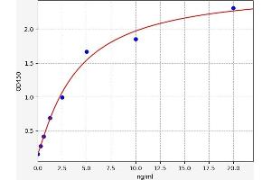 ELISA image for Nuclear Factor of kappa Light Polypeptide Gene Enhancer in B-Cells 1 (NFKB1) ELISA Kit (ABIN6968985)