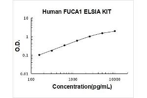 Typical Standard Curve