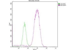 Overlay histogram showing SH-SY5Y cells stained with ABIN7153847 (red line). (GFAP antibody  (AA 292-432))