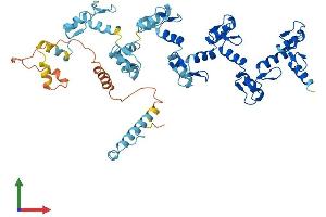 AlphaFold protein structure predicition of Human Recombinant ZNF878 Protein, UniprotID C9JN71 (ZNF878 Protein (AA 1-531) (His tag))