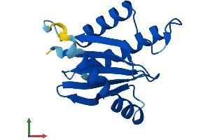 Protein Structure (PS) image for Trafficking Protein Particle Complex 2 (TRAPPC2) (AA 1-140) protein (His tag) (ABIN7560562)