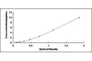 ELISA image for Dual Specificity Phosphatase 5 (DUSP5) ELISA Kit (ABIN428937)