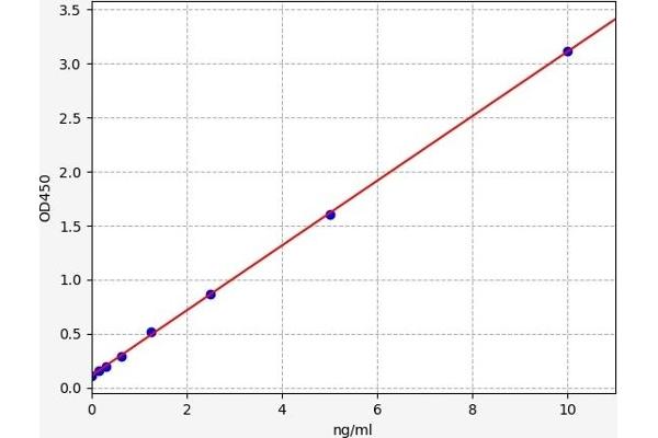 Neuroligin 3 ELISA Kit