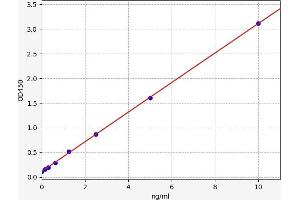 Typical standard curve (Neuroligin 3 ELISA Kit)