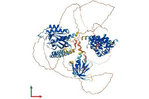 AlphaFold protein structure predicition of Mouse Recombinant Agap3 Protein, UniprotID Q8VHH5 (AGAP3 Protein (AA 1-910) (His tag))