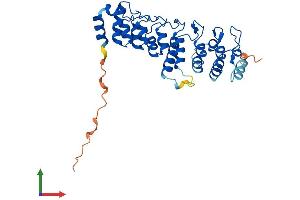 Protein Structure (PS) image for Nuclear Factor of kappa Light Polypeptide Gene Enhancer in B-Cells Inhibitor, delta (NFKBID) (AA 1-313) protein (His tag) (ABIN7548551)