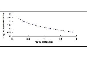 Typical standard curve (Big Dynorphin ELISA Kit)