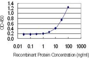 Detection limit for recombinant GST tagged GAGE1 is 0.