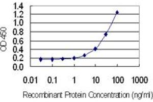 Detection limit for recombinant GST tagged GAGE1 is 0. (G Antigen 1 antibody  (AA 1-139))