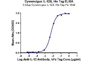 Immobilized Cynomolgus IL-12B, His Tag at 0. (IL12B Protein (AA 23-328) (His tag))