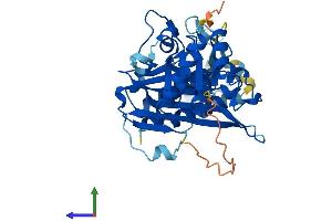 AlphaFold protein structure predicition of Human Recombinant INPP1 Protein, UniprotID P49441 (INPP1 Protein (AA 1-399) (His tag))