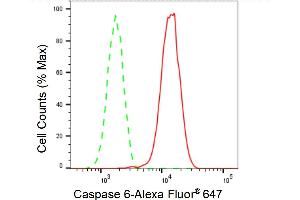 Flow cytometric analysis of Caspase 6 expression in HT- cells using Caspase 6 antibody (ABIN7797901), 1:2,000). (Recombinant Caspase 6 antibody)