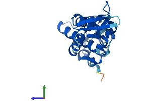 AlphaFold protein structure predicition of Human Recombinant VPS25 Protein, UniprotID Q9BRG1