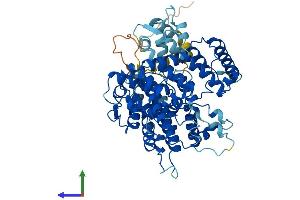 Protein Structure (PS) image for Plastin 1 (PLS1) (AA 1-629) protein (His tag) (ABIN7550898)