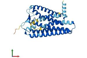 AlphaFold protein structure predicition of Human Recombinant OR5M3 Protein, UniprotID Q8NGP4 (OR5M3 Protein (AA 1-307) (His tag))