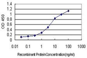 Detection limit for recombinant GST tagged ABCG1 is approximately 0. (ABCG1 antibody  (AA 21-130))