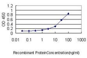 Detection limit for recombinant GST tagged MOAP1 is approximately 1ng/ml as a capture antibody. (MOAP1 antibody  (AA 1-351))