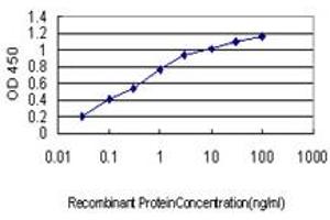 Detection limit for recombinant GST tagged AURKB is approximately 0. (Aurora Kinase B antibody  (AA 1-90))
