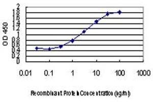 Detection limit for recombinant GST tagged ABCC8 is approximately 0. (ABCC8 antibody  (AA 611-710))