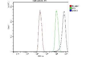 Flow Cytometry analysis of C6 cells using anti-Dynamin 3/DNM3 antibody (ABIN7601163). (Dynamin 3 antibody  (AA 295-712))