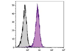 BALB/c mouse splenocytes were stained with Rat Anti-Mouse CD2-FITC. (CD2 antibody  (FITC))