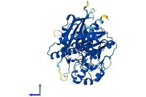 AlphaFold protein structure predicition of Human Recombinant SHPK Protein, UniprotID Q9UHJ6 (SHPK Protein (AA 1-478) (His tag))