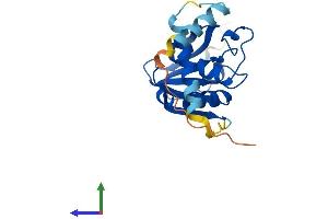 Protein Structure (PS) image for serine Hydrolase-Like (SERHL) (AA 1-203) protein (His tag) (ABIN7546114)